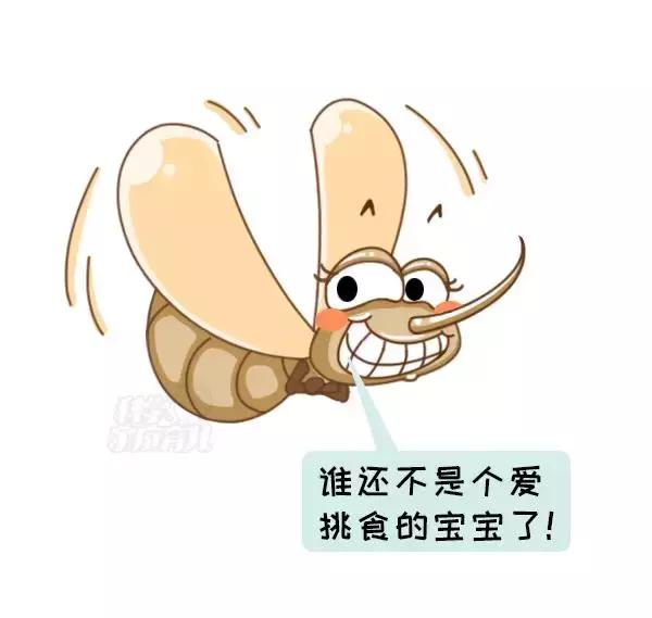 急!登革热已爆发641例,“秋蚊”战斗力爆表,尤其是这2种
