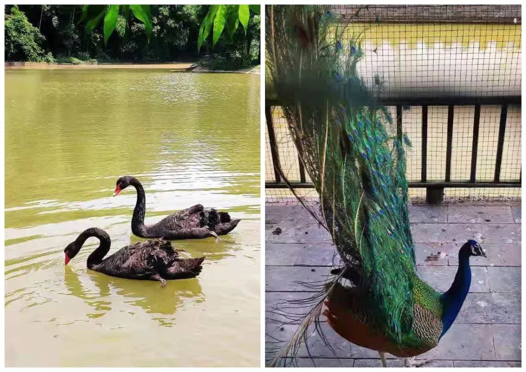 长沙团建烧烤岳麓区,长沙团建烧烤推荐地方芙蓉区