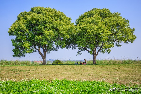 真正的苏州相城,苏州相城古镇哪个最值得去