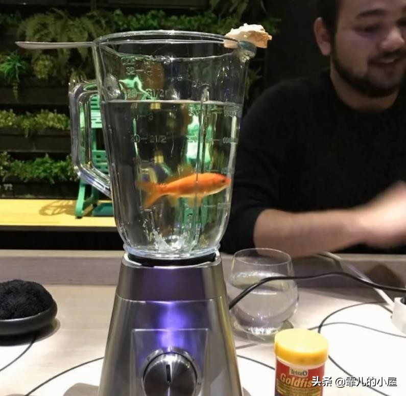 两年都预定不到座位的黑暗料理餐厅“炼金术士”，生吞金鱼的吃货