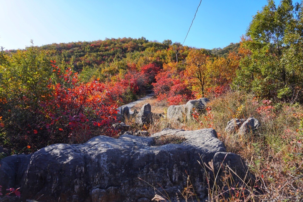 郑州漂亮的秋色风景,郑州的这些湖畔藏着最美的秋色