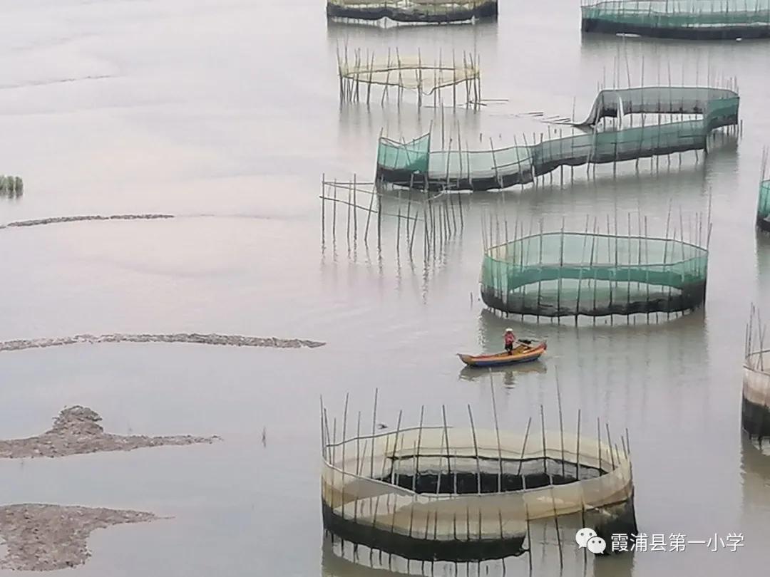 霞浦一中高一新生夏令营,霞浦县夏令营