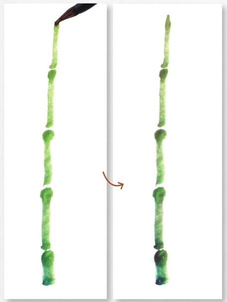 粗竹配细竹的画法,写意绿竹的画法