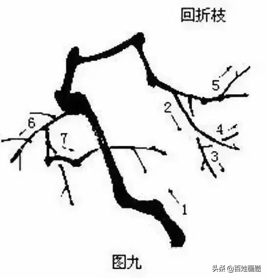 国画梅花画法视频,徐湛梅花画法教程