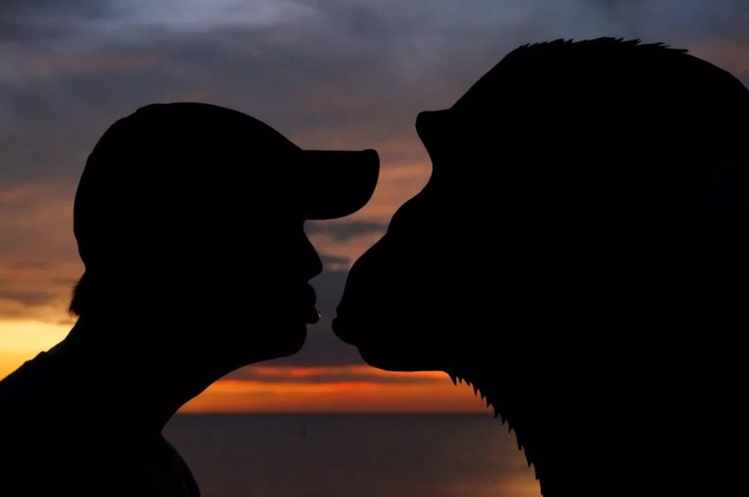 这个男人拍的漫画剪影，小孩看笑了，大人却哭了......