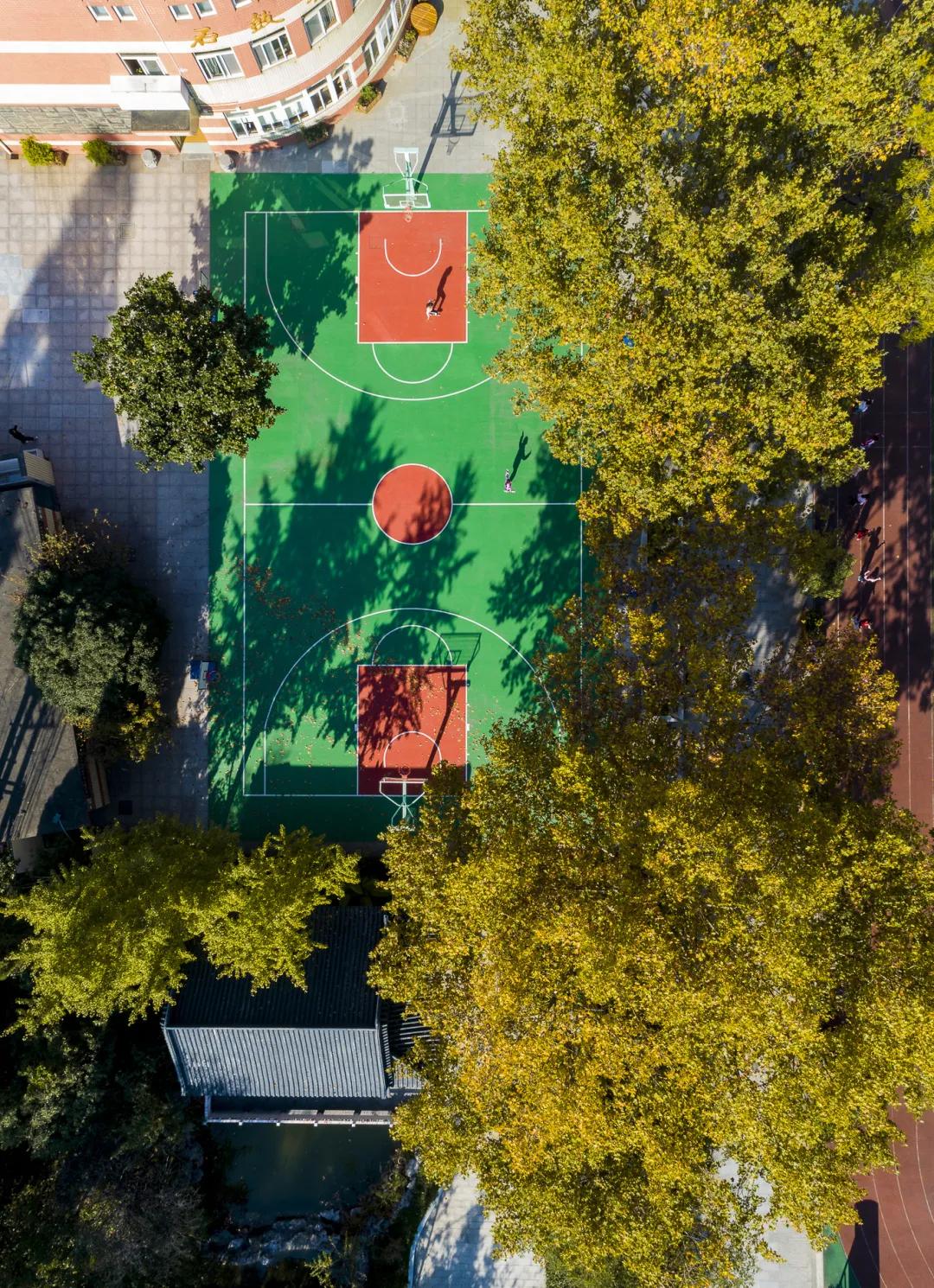 最美的风景美丽的校园,最美的风景就是校园