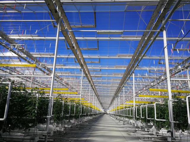 你见过高端玻璃温室大棚吗,现代农业玻璃温室大棚简介