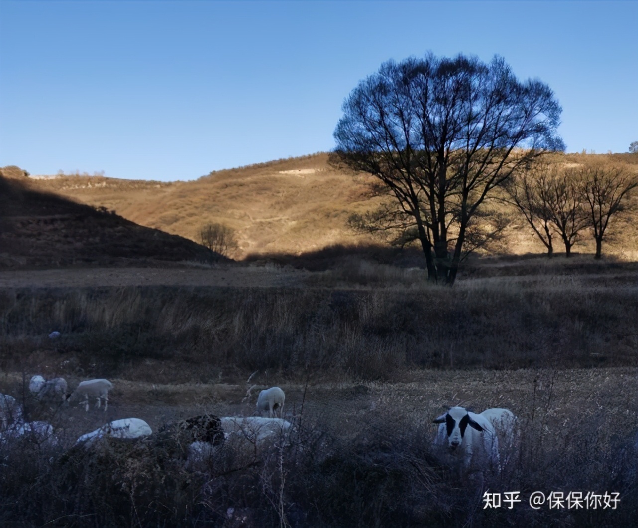 明亚保险经纪人有前途吗,明亚保险经纪人怎么考