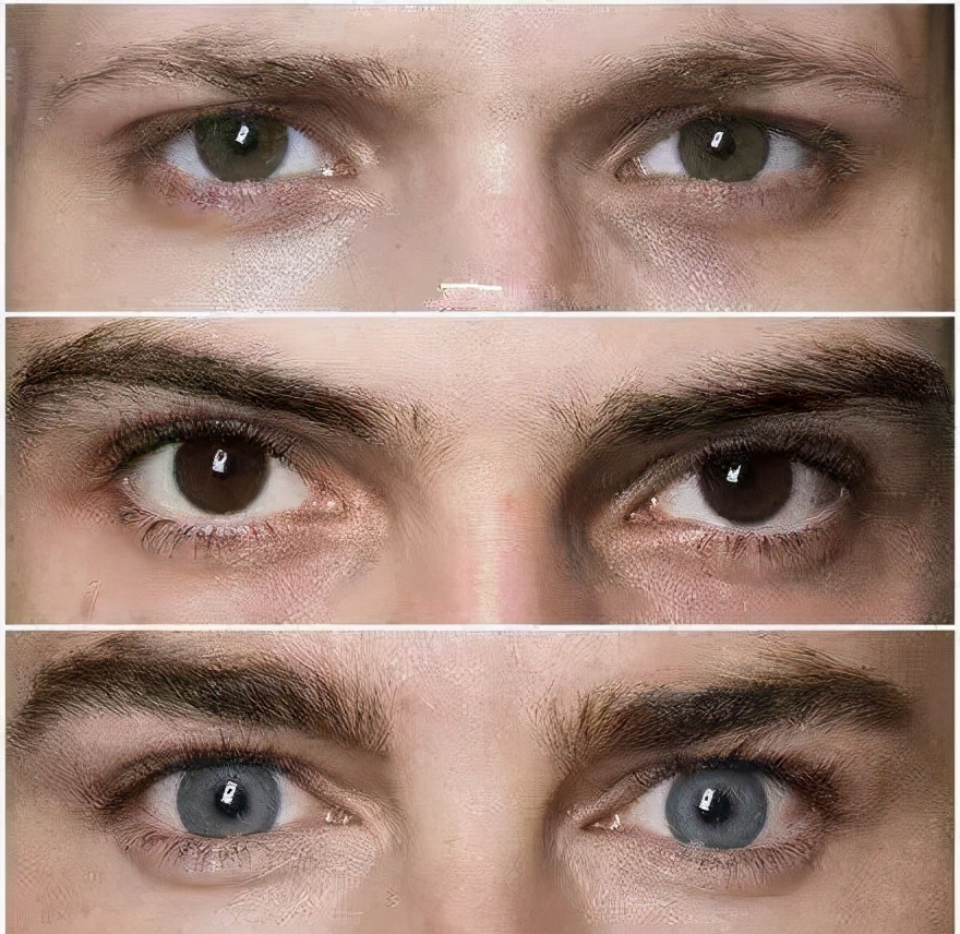 怎么样辨别自己有混血基因,混血面部分析