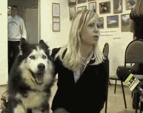 搞笑gif嫂子包饺子,搞笑gif姑娘你这次真的是玩过头了