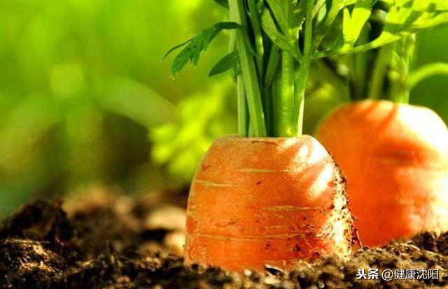 卵巢保养7个秘诀手册,卵巢保养最佳方法年轻30岁