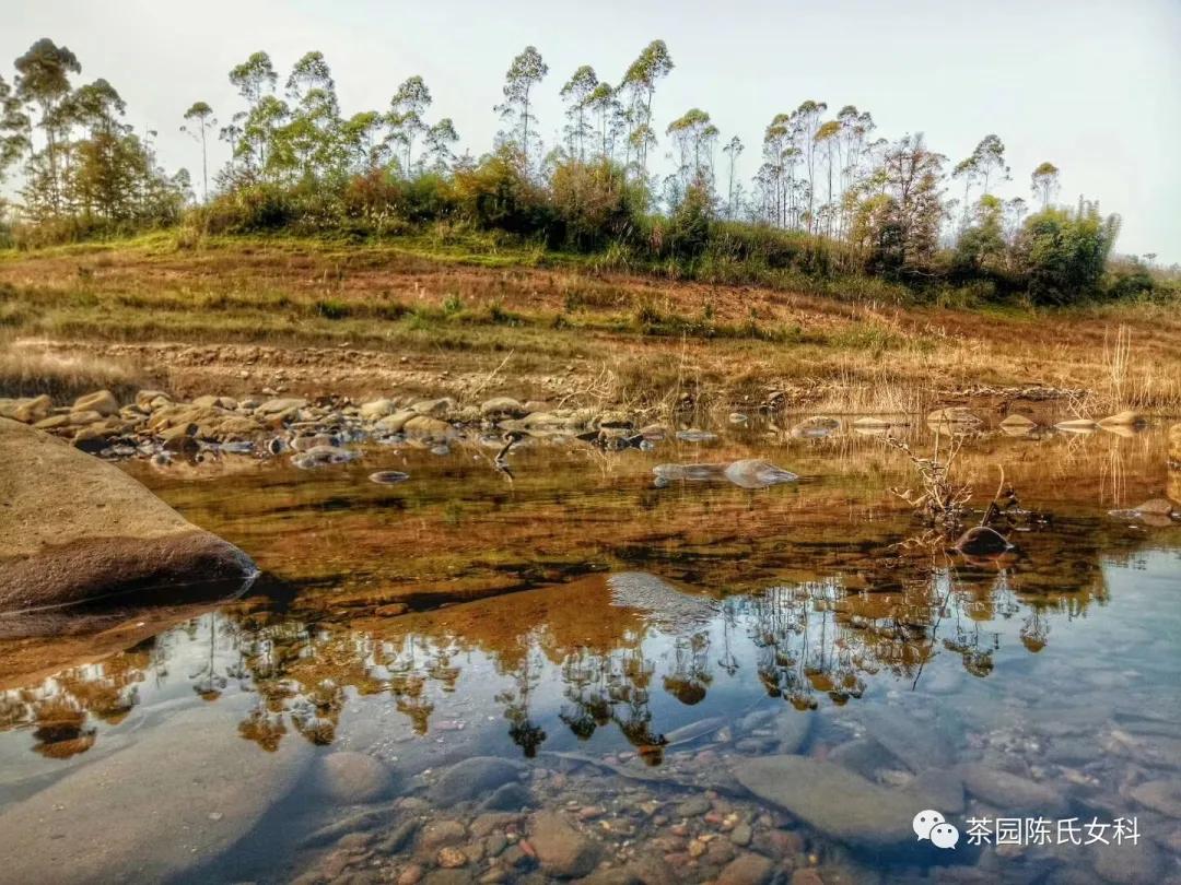月经期间吃什么养子宫和卵巢,月经太少吃什么补得快