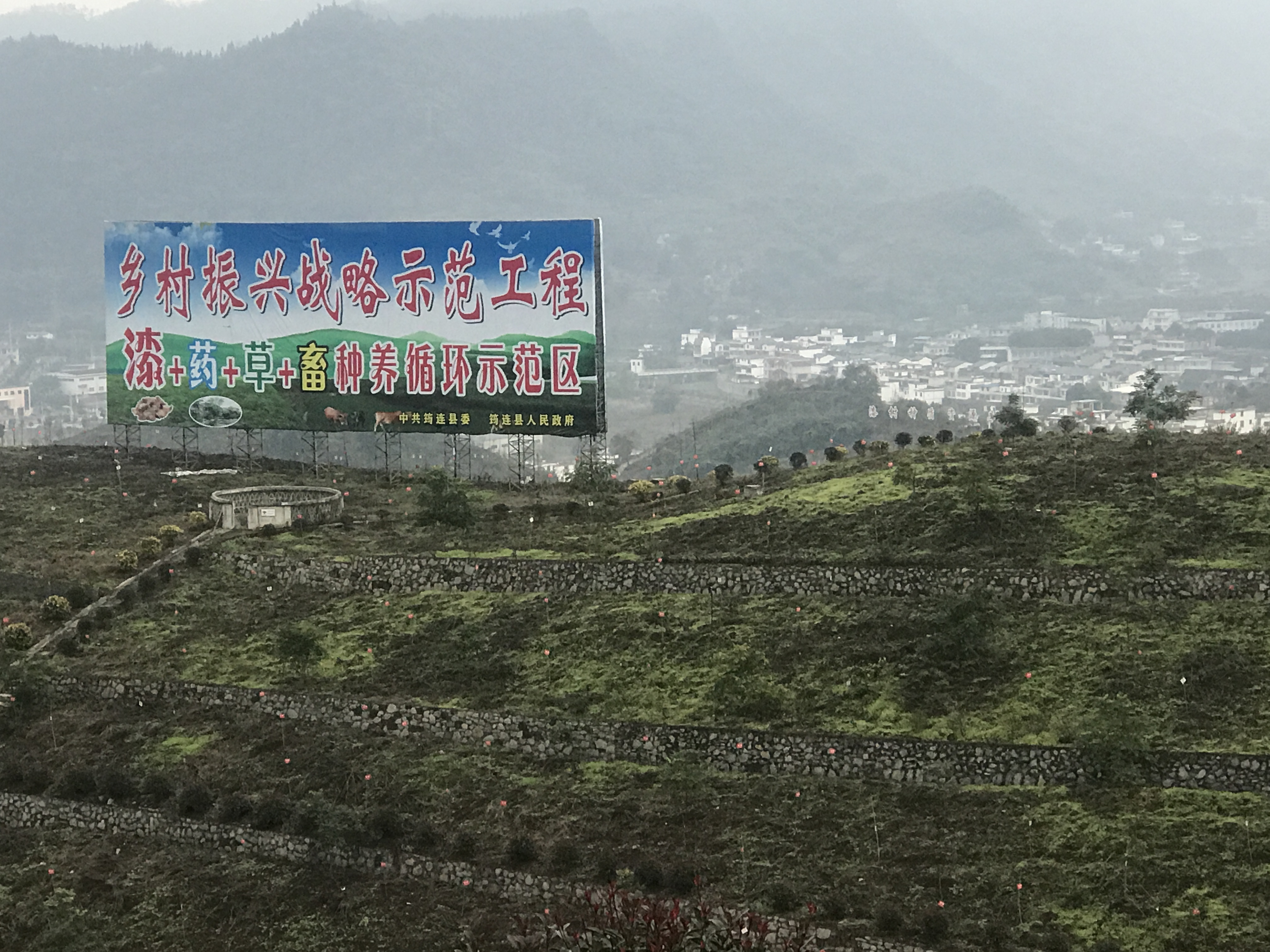 筠连生态优势聚合专家智慧,生态农业标准化助力大发展