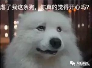 赵薇向男友人索吻,赵薇遭猴子索吻