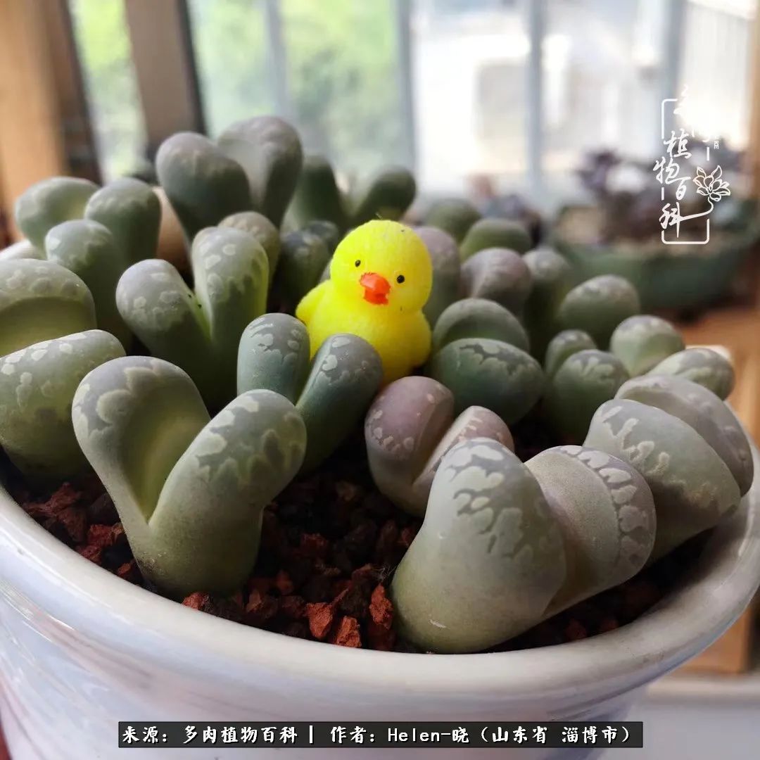 人到中年温暖如初,人到中年岁月静好