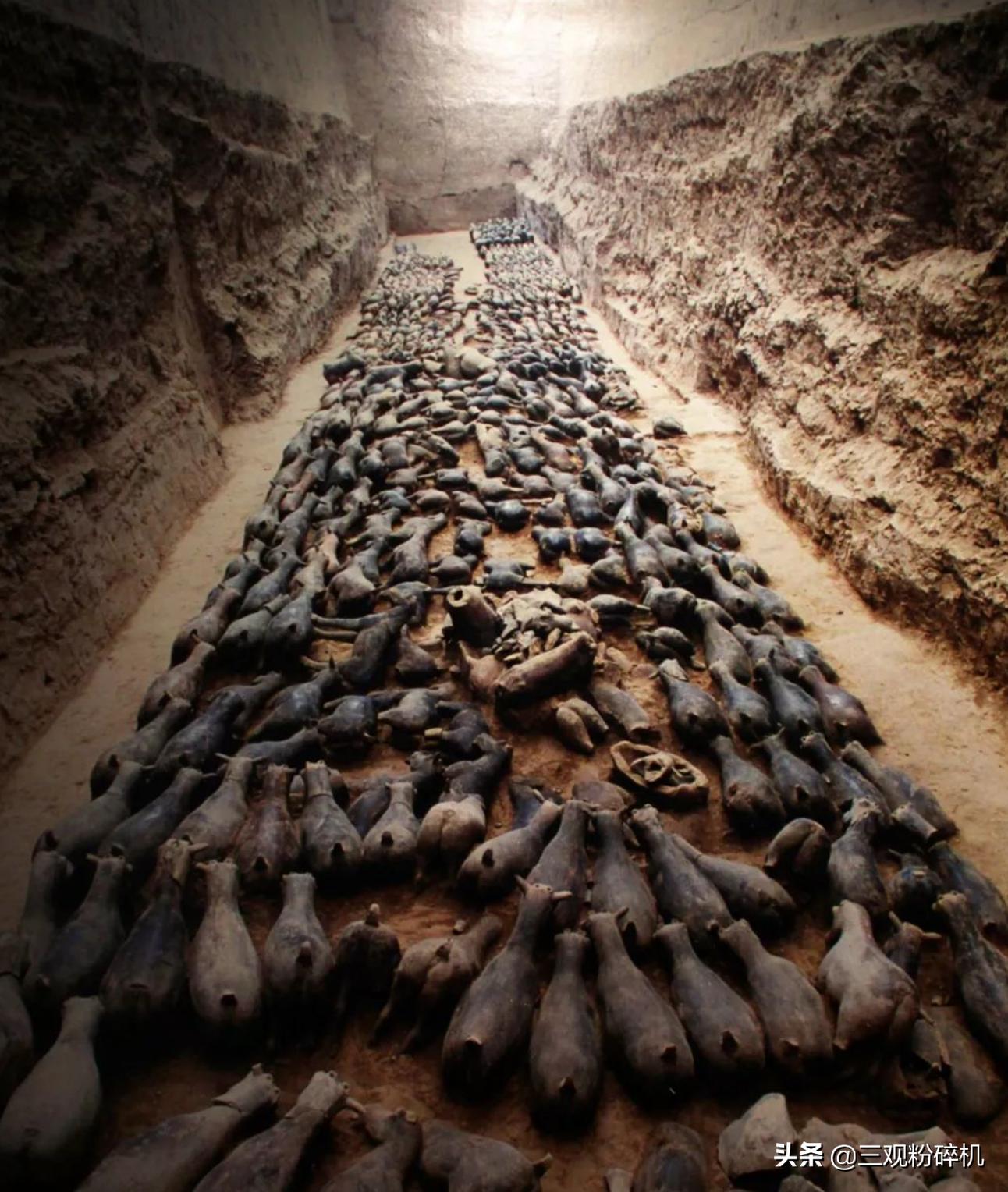 猪为什么会成为十二生肖,猪为什么排在十二生肖最后呢