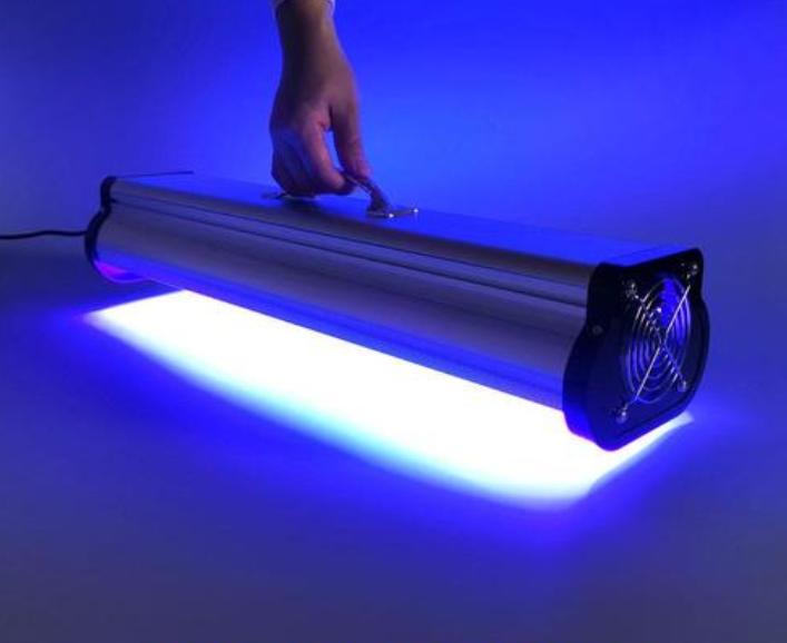 夏日阳光照射,夏日阳光很刺眼