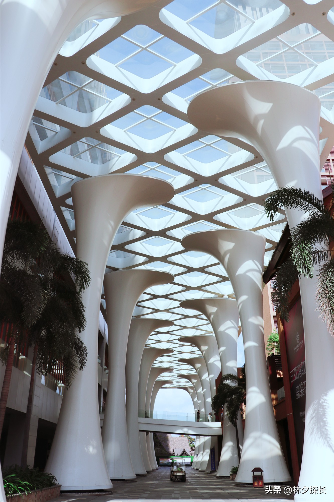 三亚红树林酒店价格是多少钱,红树林度假世界门票多少钱