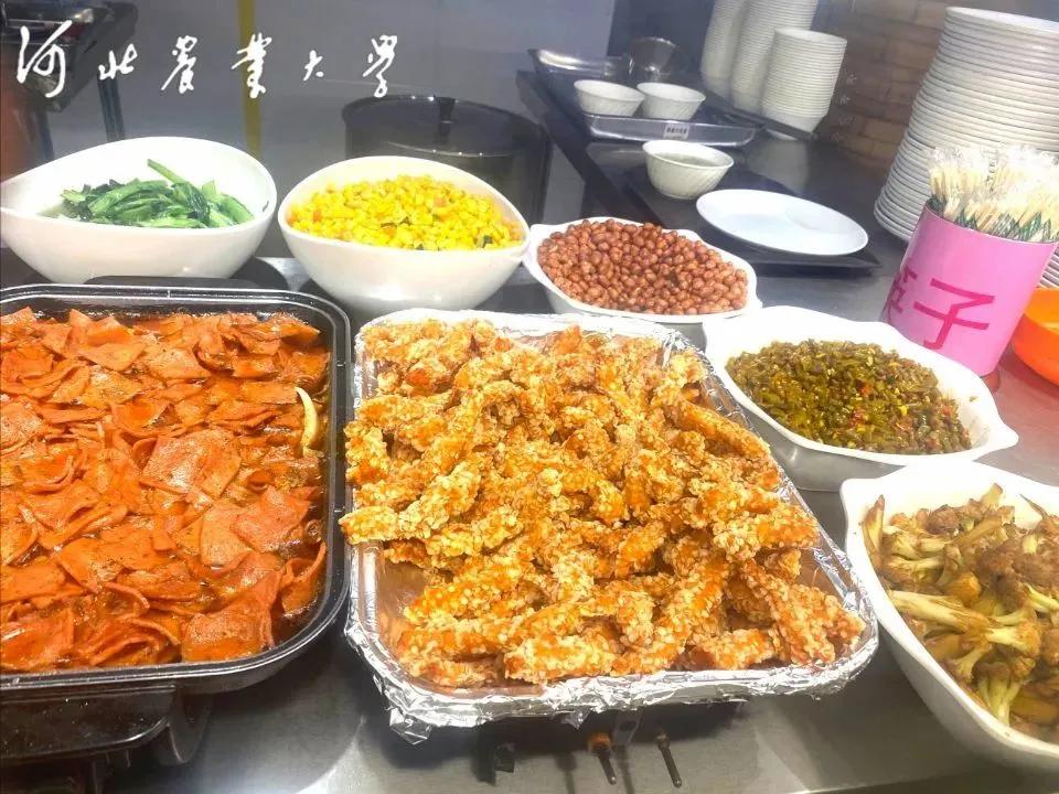 “河大的美女农大的饭”干饭人不能错过的河北农业大学来啦