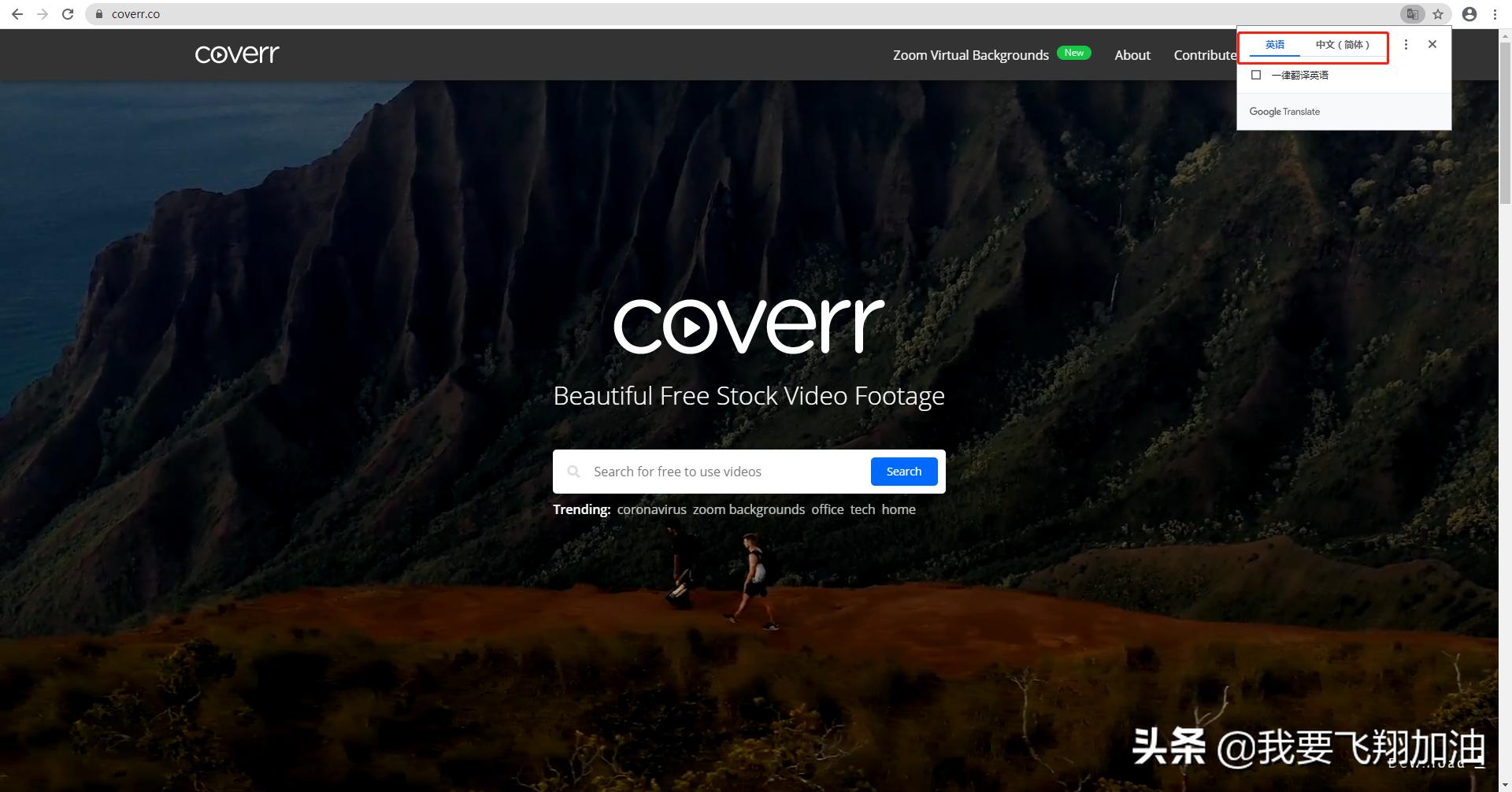 国外素材网站免费有哪些,国外素材视频网站