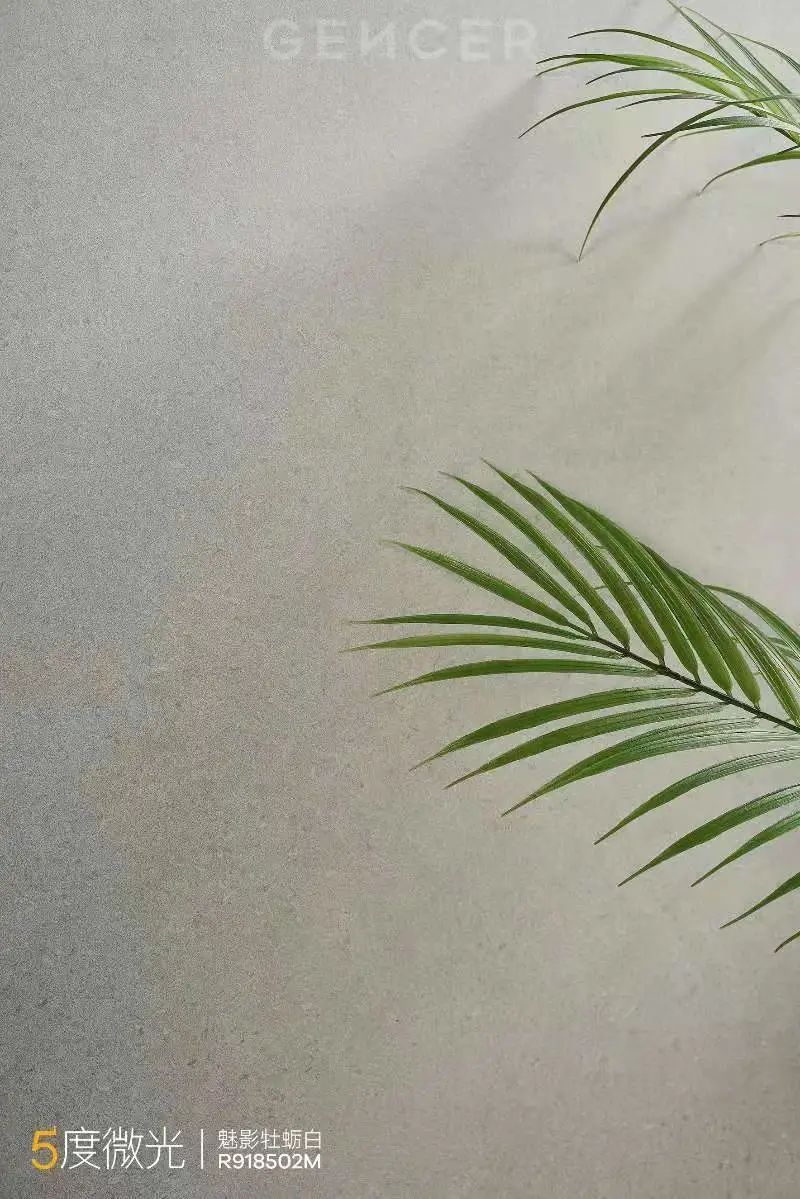 对话顾中飞：“5度微光”质感岩板，能否成为简舍版“金花米黄”