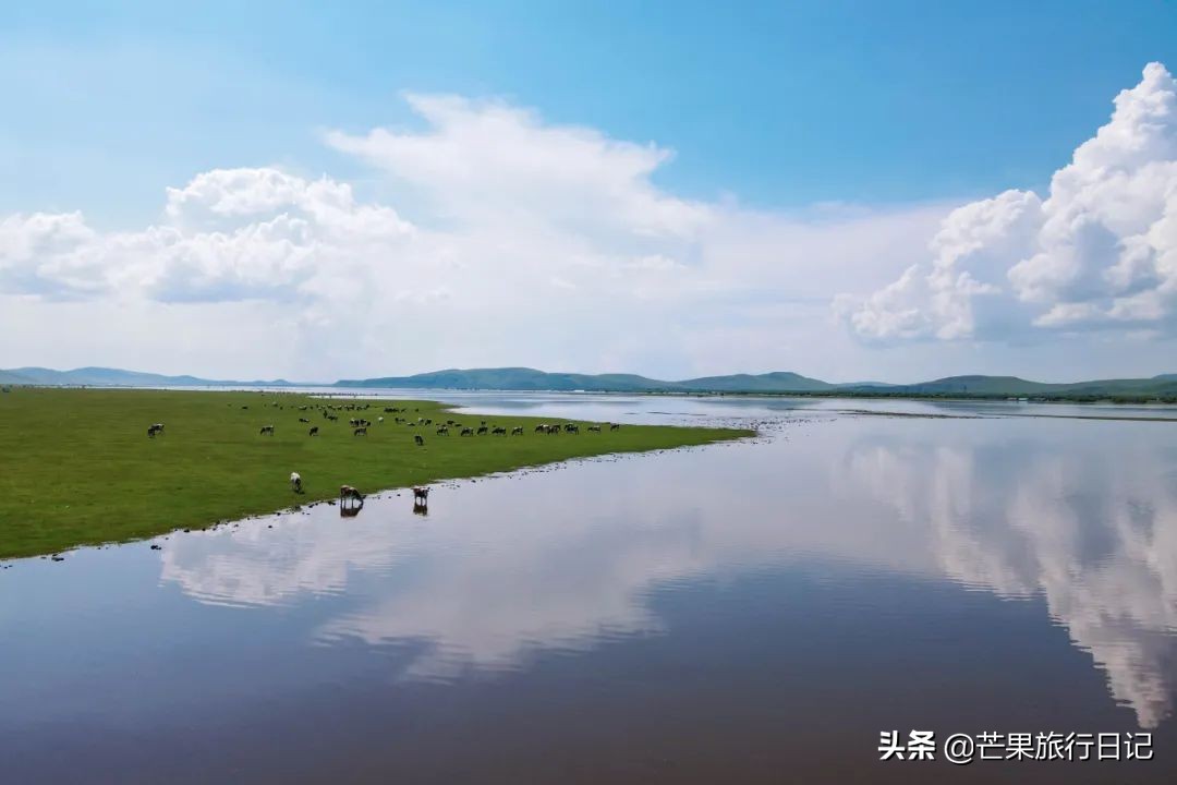 自由行呼伦贝尔七天费用,呼伦贝尔自由行费用