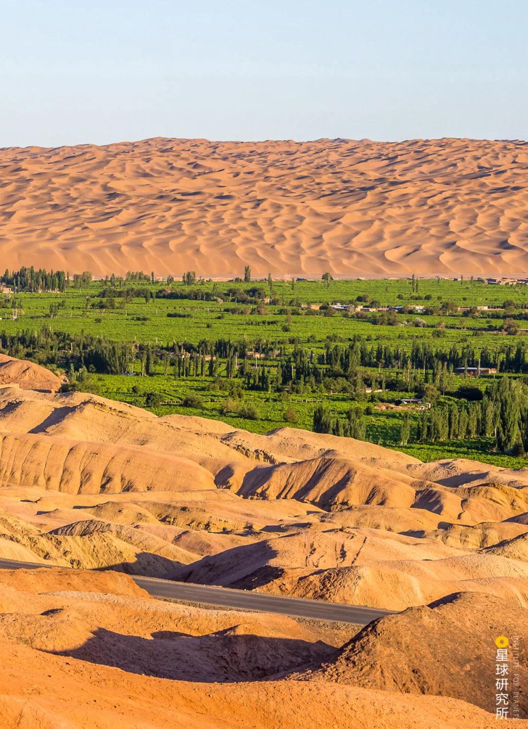 中国植树造林面积,中国植树造林成果国外有什么看法
