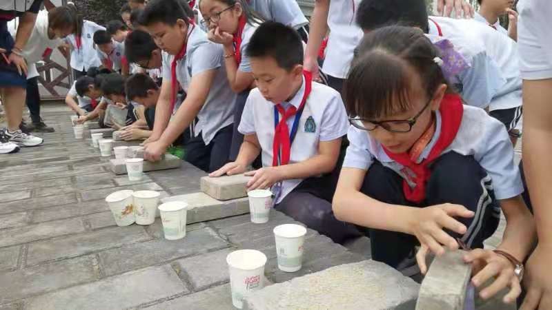 西安市新优质小学成长计划,西安碑林区新优质小学