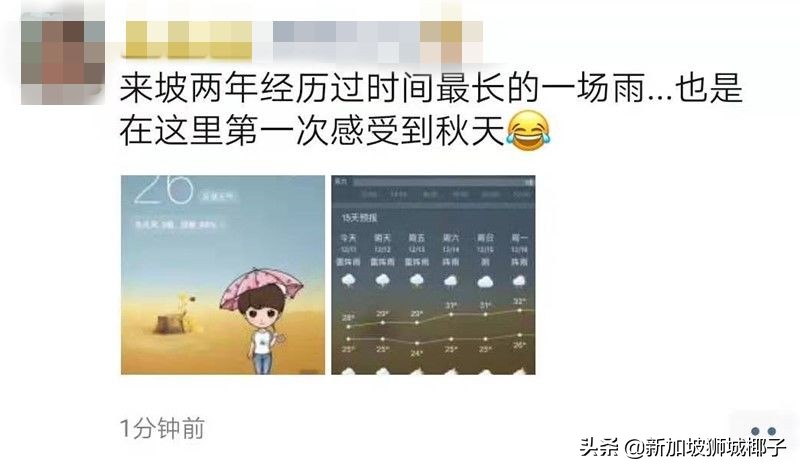 新加坡冻成狗,新加坡狂风暴雨来袭