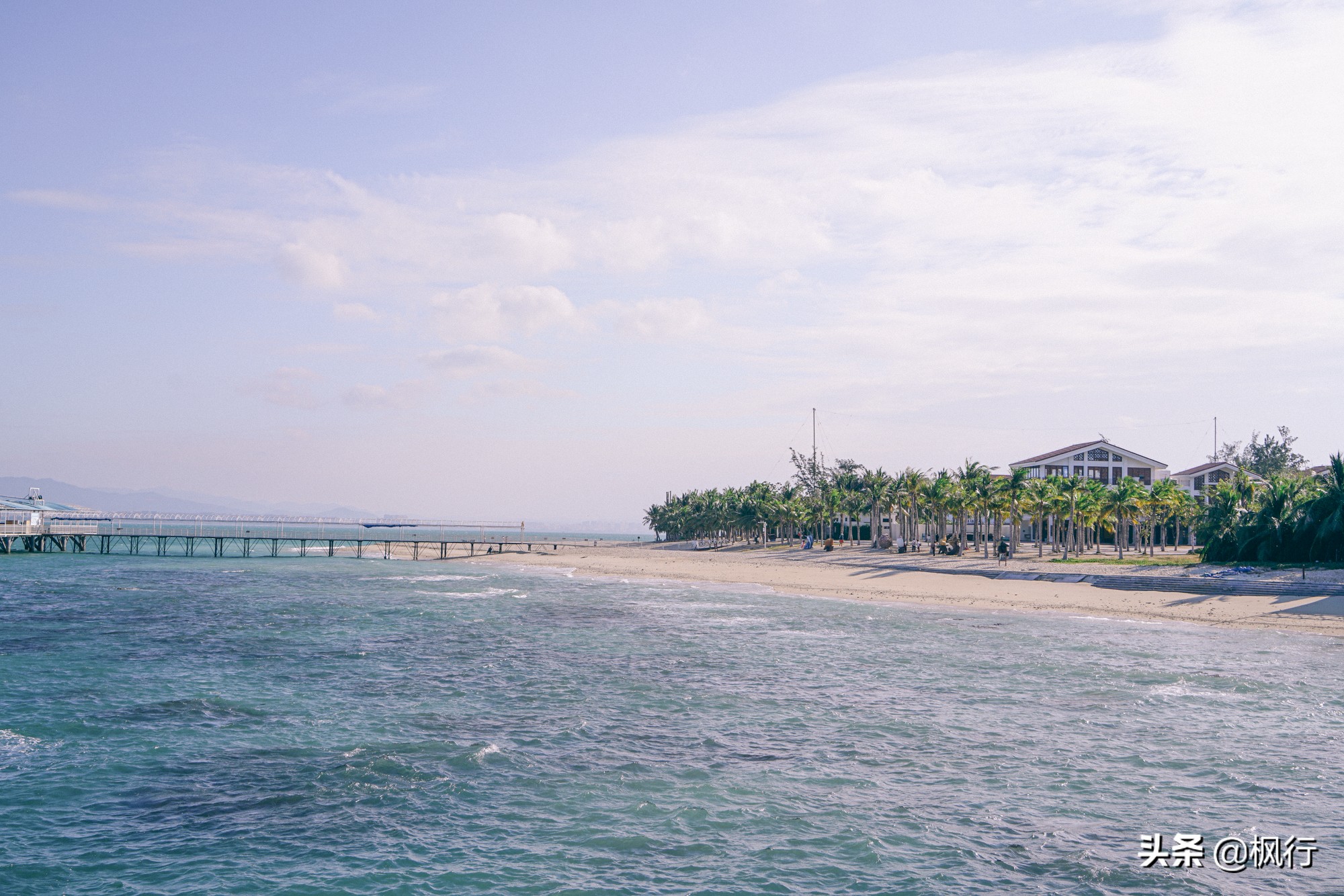 被猴子袭击，门票昂贵，拍照被轰，被我全程吐槽的三亚到底值不值