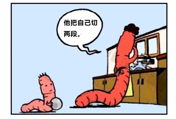 漫画蚯蚓历险记,蚯蚓漫画