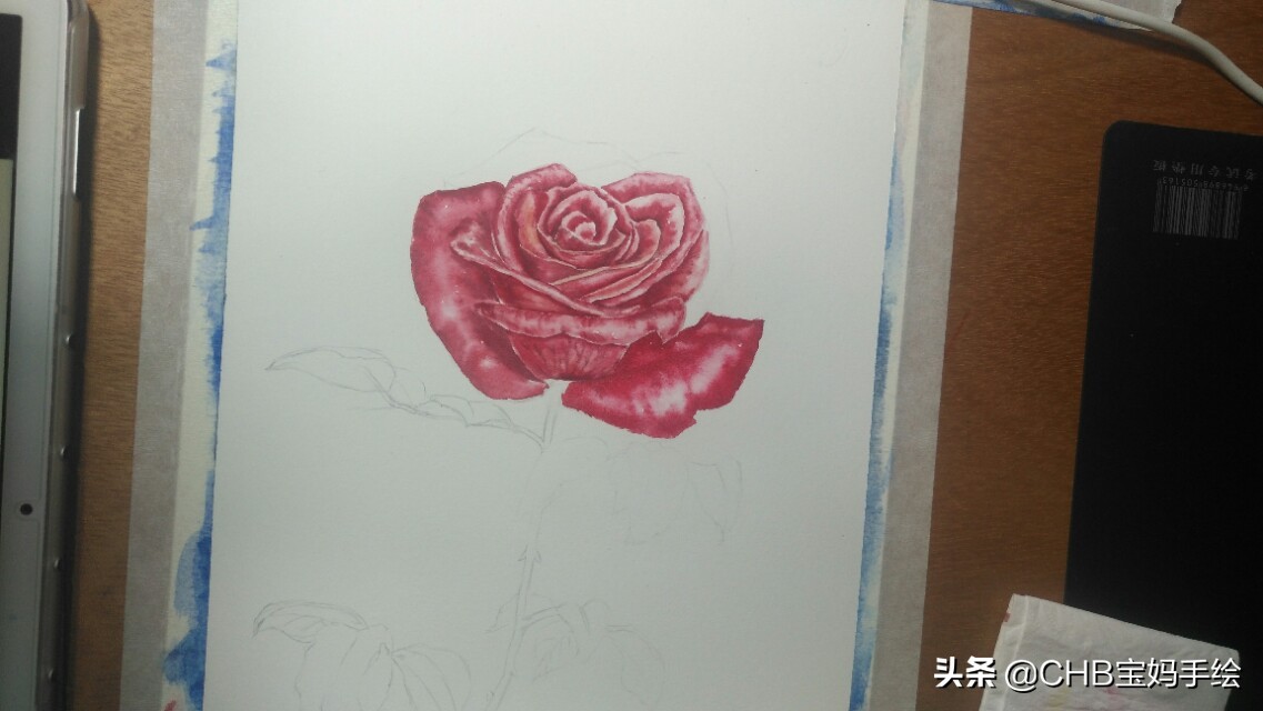 水彩画初学者零基础教程玫瑰花,水彩画教程入门玫瑰花慢教程