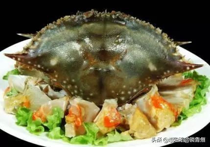 娼嶅潑涓存湊鐗硅壊缇庨,娼嶅潑鍗庡鑹瓙缇庨