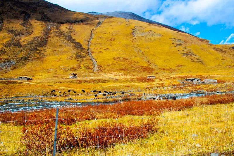 川西最美自驾游环线,川西最美越野路线