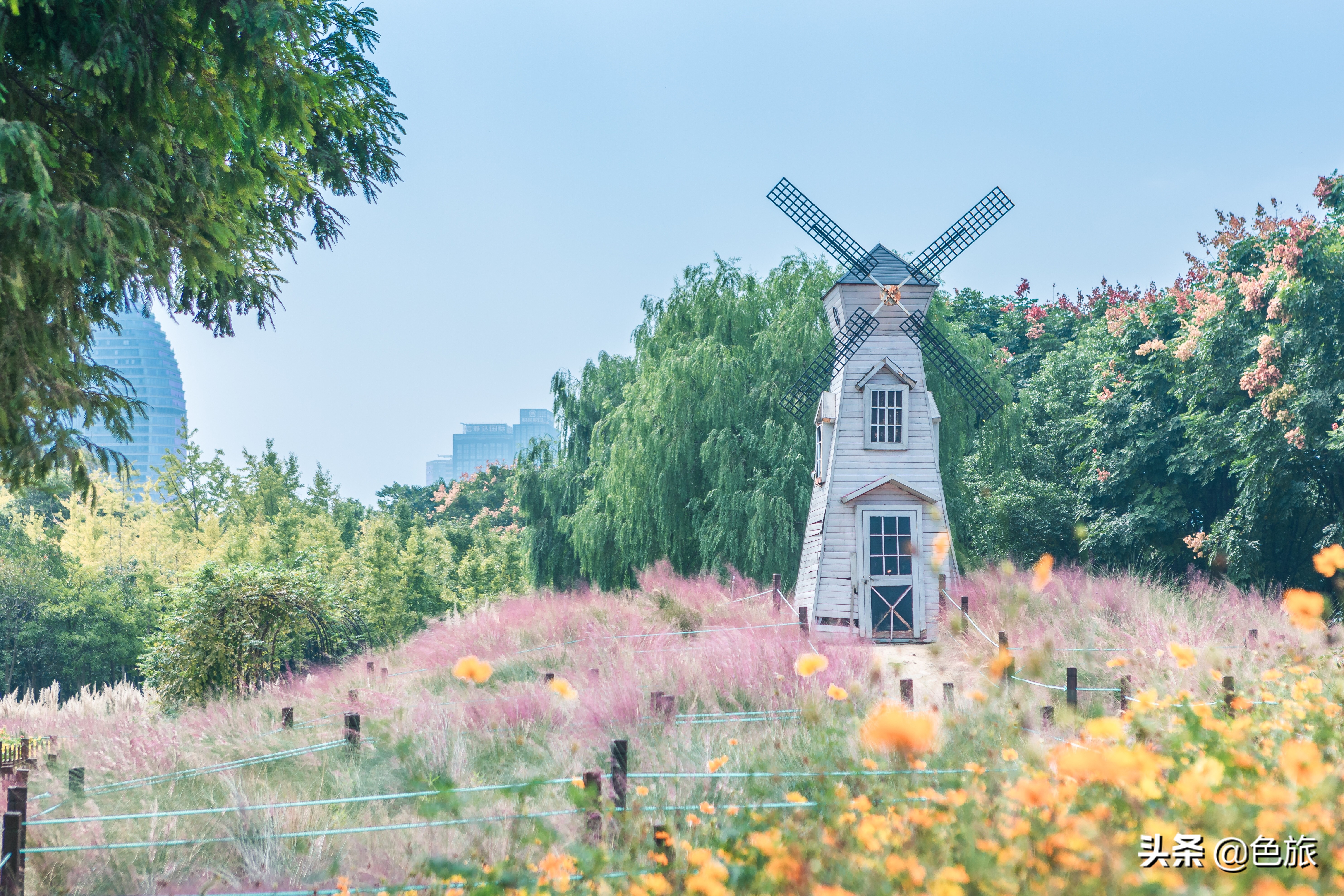 杭州花海网红打卡,杭州粉黛花海打卡地