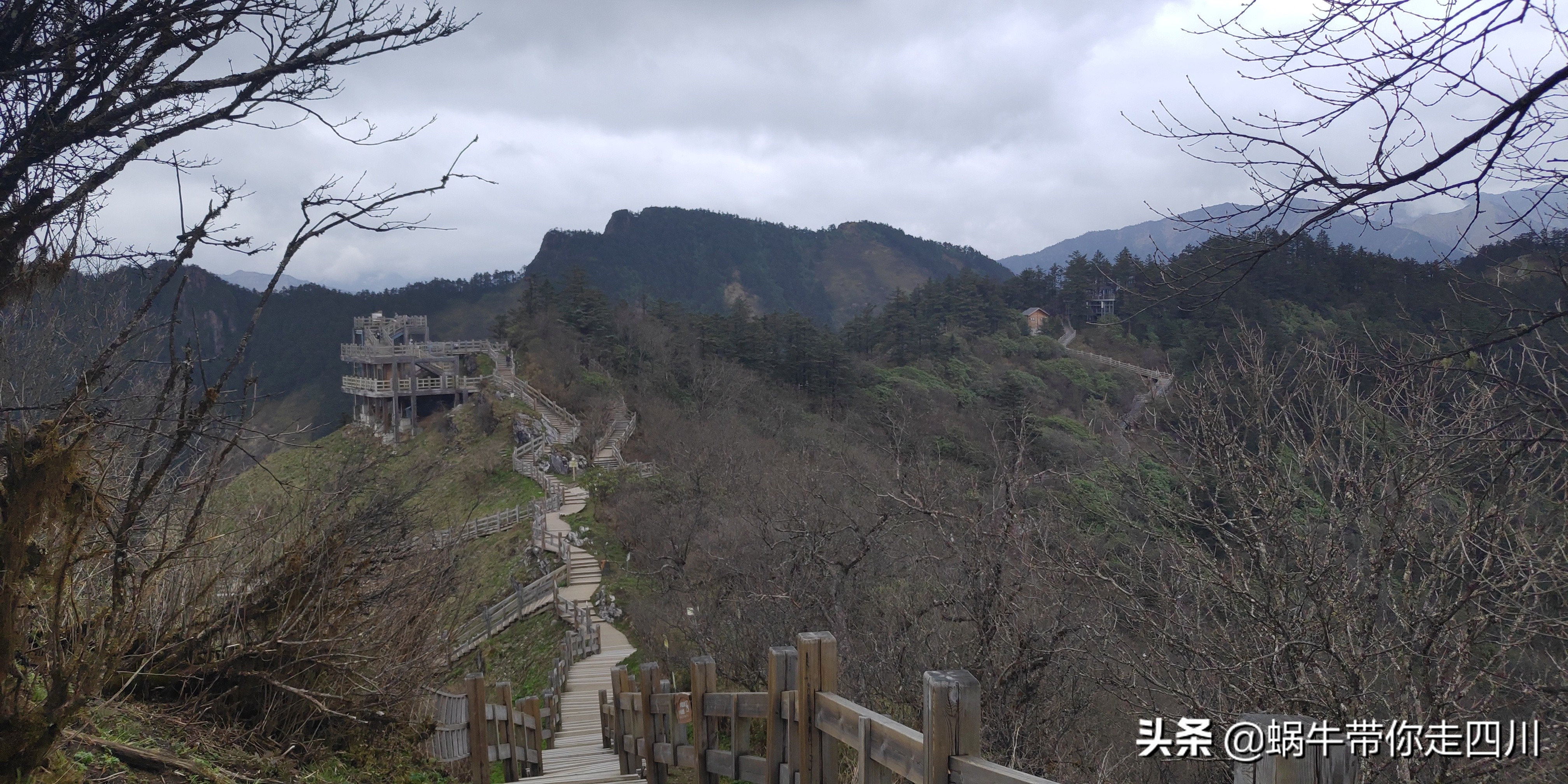 成都去西岭雪山两天一夜旅游团,成都出发雪山旅游