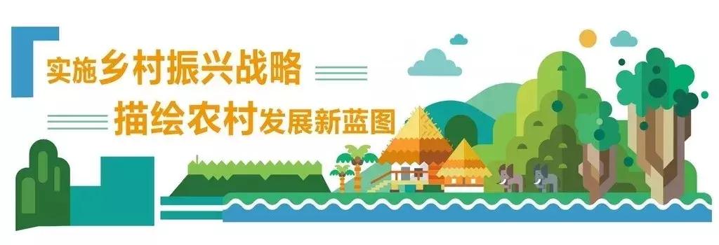 农村人居环境整治|从“三无”变“宜居”看杨凌这个村是怎样炼成的?