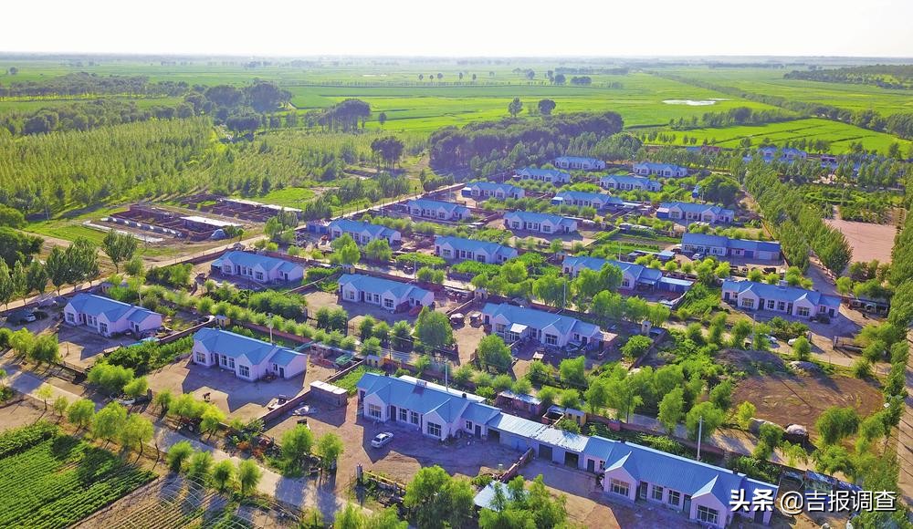 有图有真相的攻略,有图有真相逆战