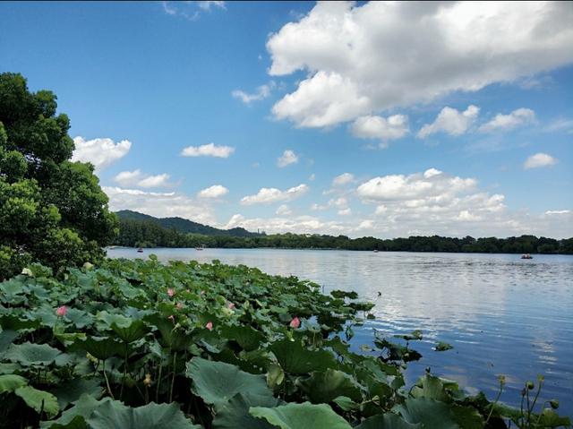 杭州西湖景点郭庄视频,杭州郭庄园林