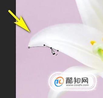 ps0基础教程自学网免费,ps0基础教程新手入门