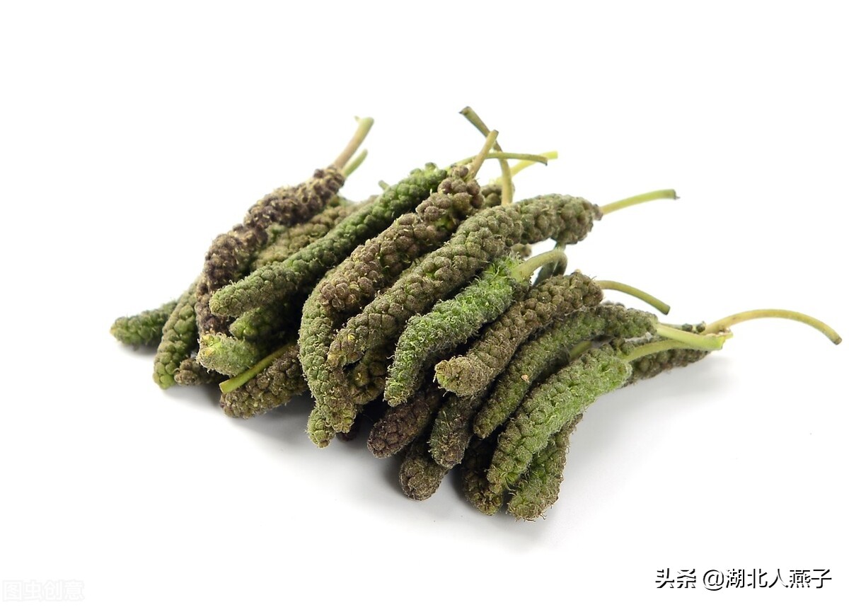 各种可以吃的野菜图片大全及名称 (100种野菜图片大全和名称和吃法)