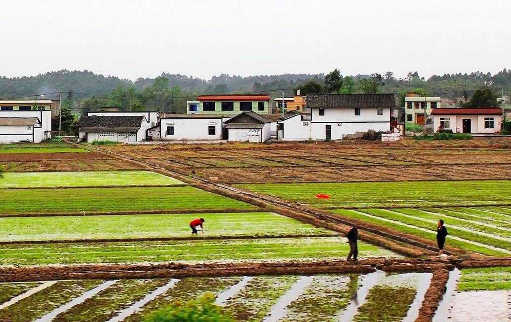 老话讲,“农村不作颠,街上不冒烟”,认识农村的重要性