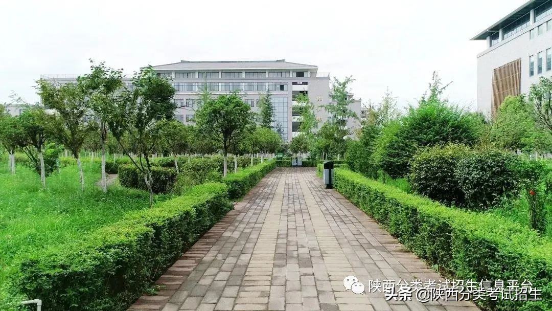 两汉三国，真美汉中|汉中职业技术学院