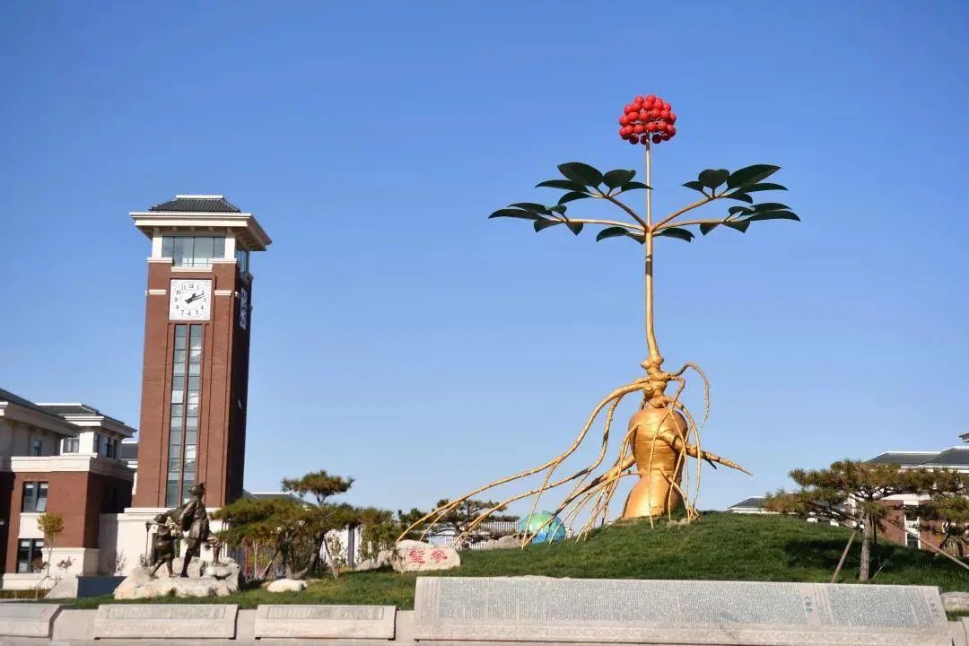 天津共有几所好大学,天津都有什么好大学