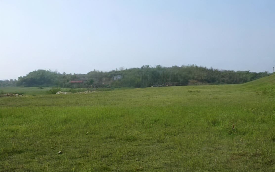 鏂囨梾妗ｆ,宀抽槼鏂囨梾妗ｆ2019