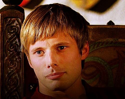 老外说Youareagaydog不是骂你,千万别动怒