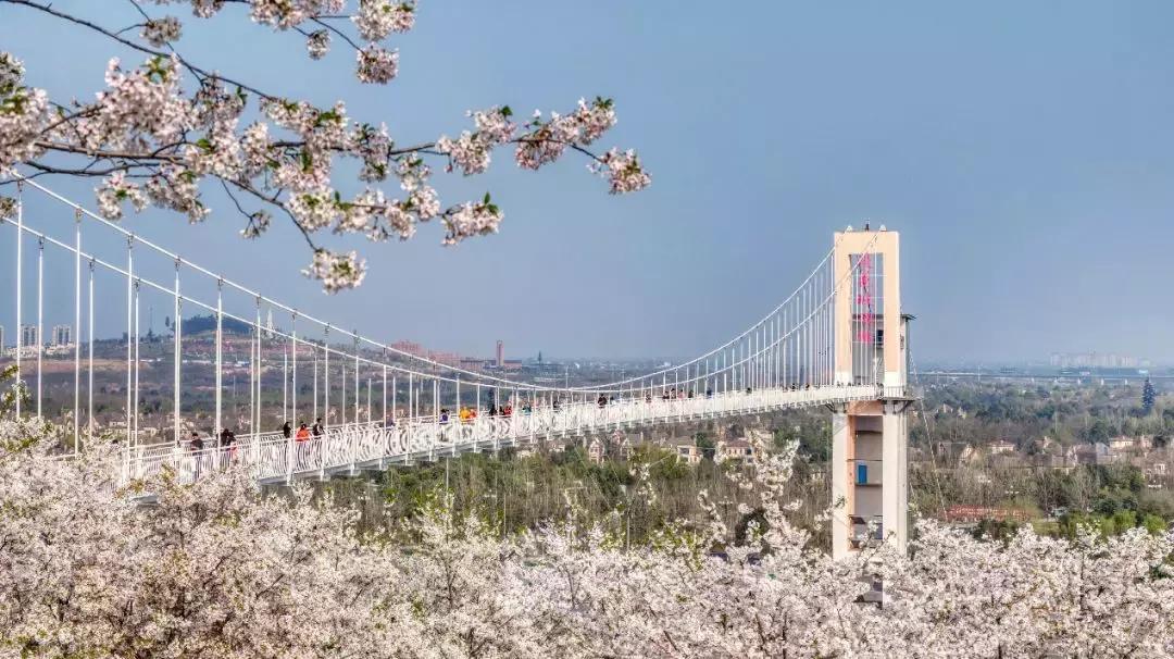 城市公园怎么玩,公园玩法