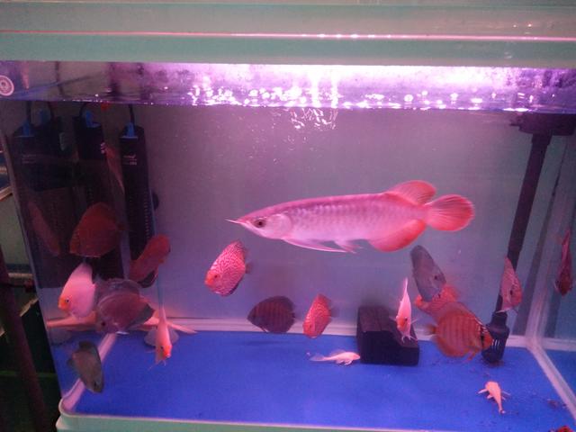 又到大扫除季节,又到了打扫卫生的时刻