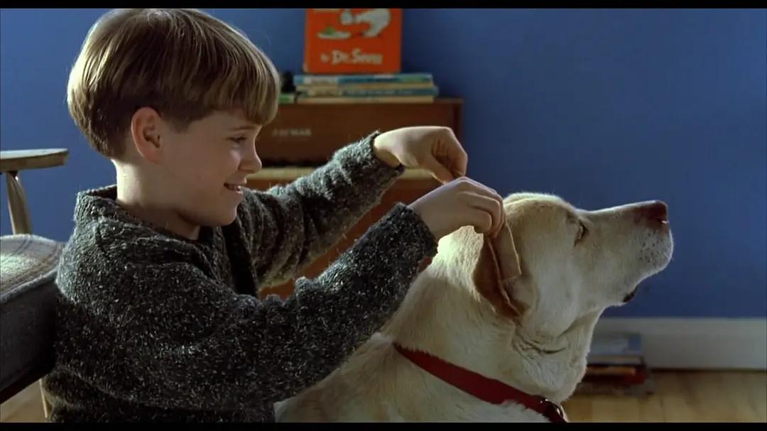 以《我是山姆》为例，谈谈现代职业女性如何化解“精神生态危机”