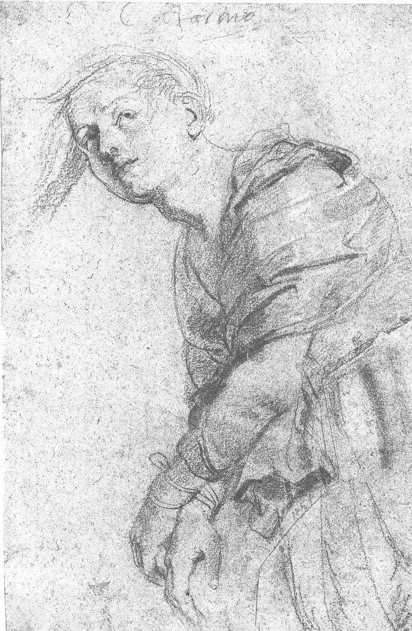 巨匠鲁本斯的素描作品图片,鲁本斯顶级素描